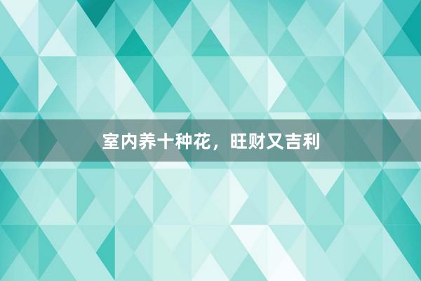 室内养十种花，旺财又吉利