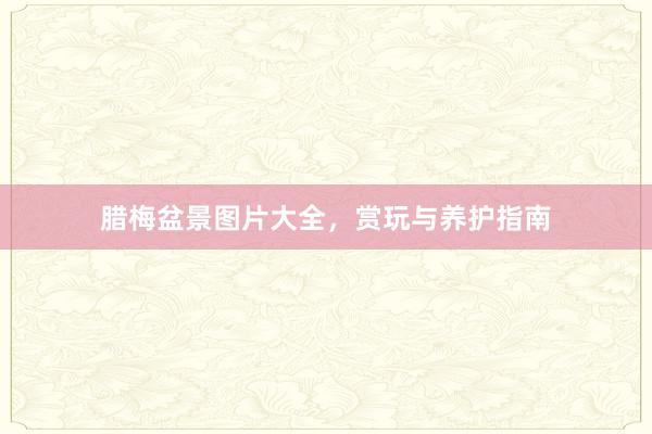 腊梅盆景图片大全，赏玩与养护指南