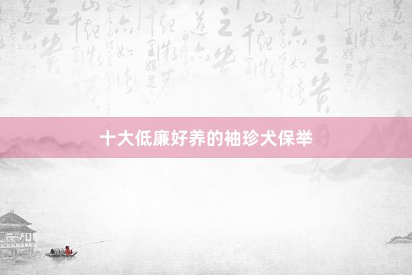 十大低廉好养的袖珍犬保举