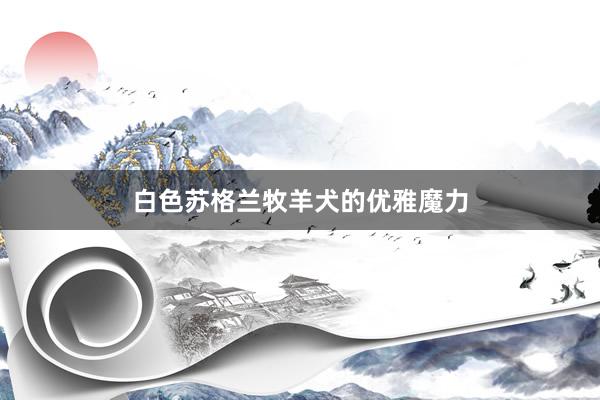 白色苏格兰牧羊犬的优雅魔力