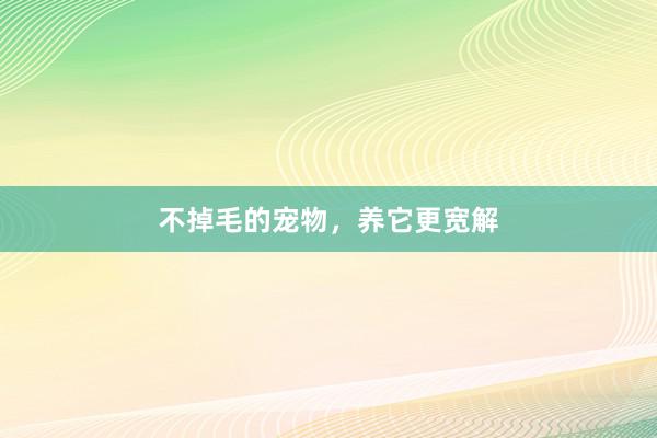 不掉毛的宠物，养它更宽解